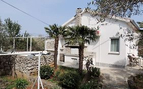 Apartments Zarko